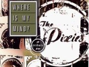 Where Is My Mind: A Tribute To the Pixies