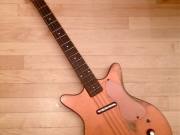 daneletroshorthornbass